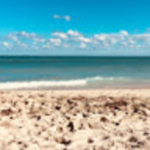 Meet your Posher, Tory